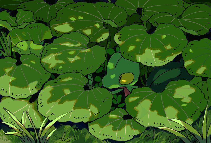 Green Frog in Leaves — Calm