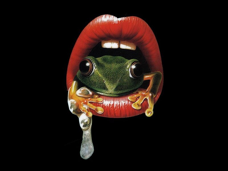 Green Frog in Mouth