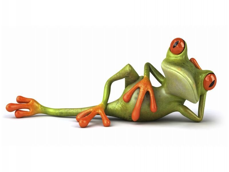 Green Frog Lying Down — Relaxed
