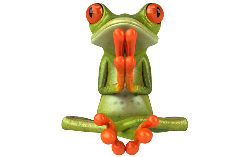green frog meditating