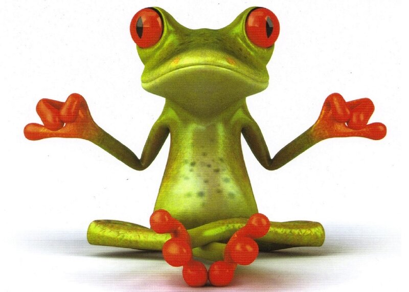 Green Frog Meditating — Calm