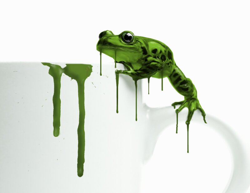 Green Frog Melting