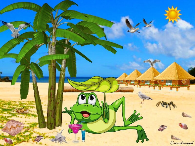 Green Frog on Beach