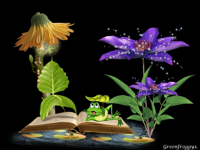 Green Frog on Book — Magical