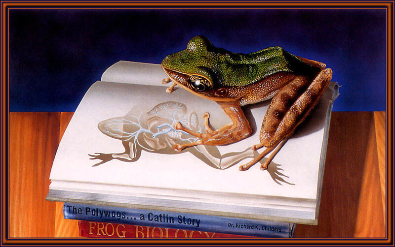 Green Frog on Book