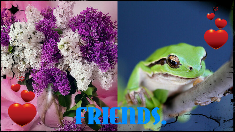 Green Frog on Branch — Purple