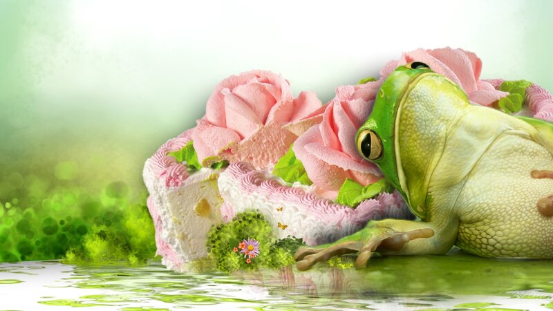 Green Frog on Cake
