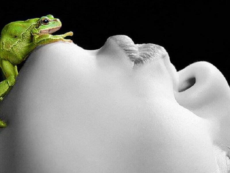 Green Frog on Face — Dramatic, Photograph
