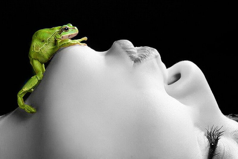 Green Frog on Face