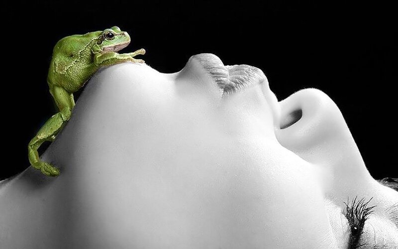 Green Frog on Face — White, Dramatic