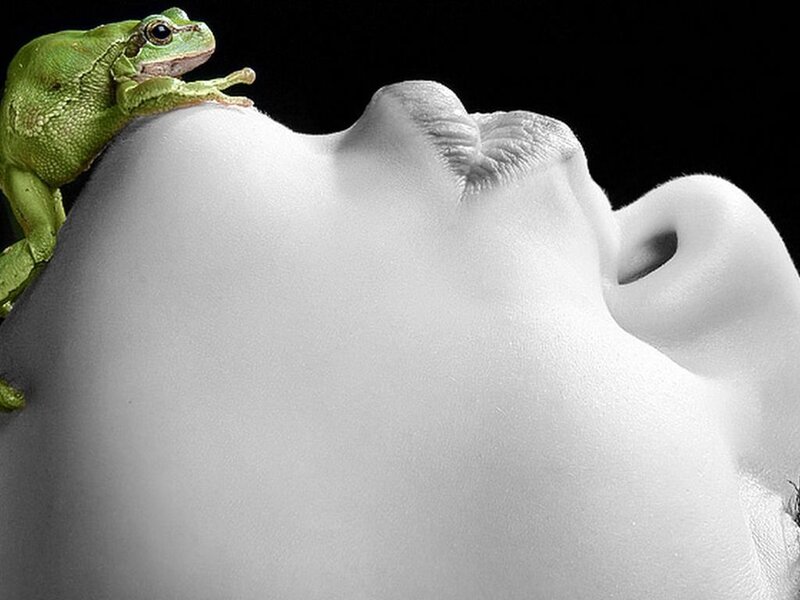 Green Frog on Face — White
