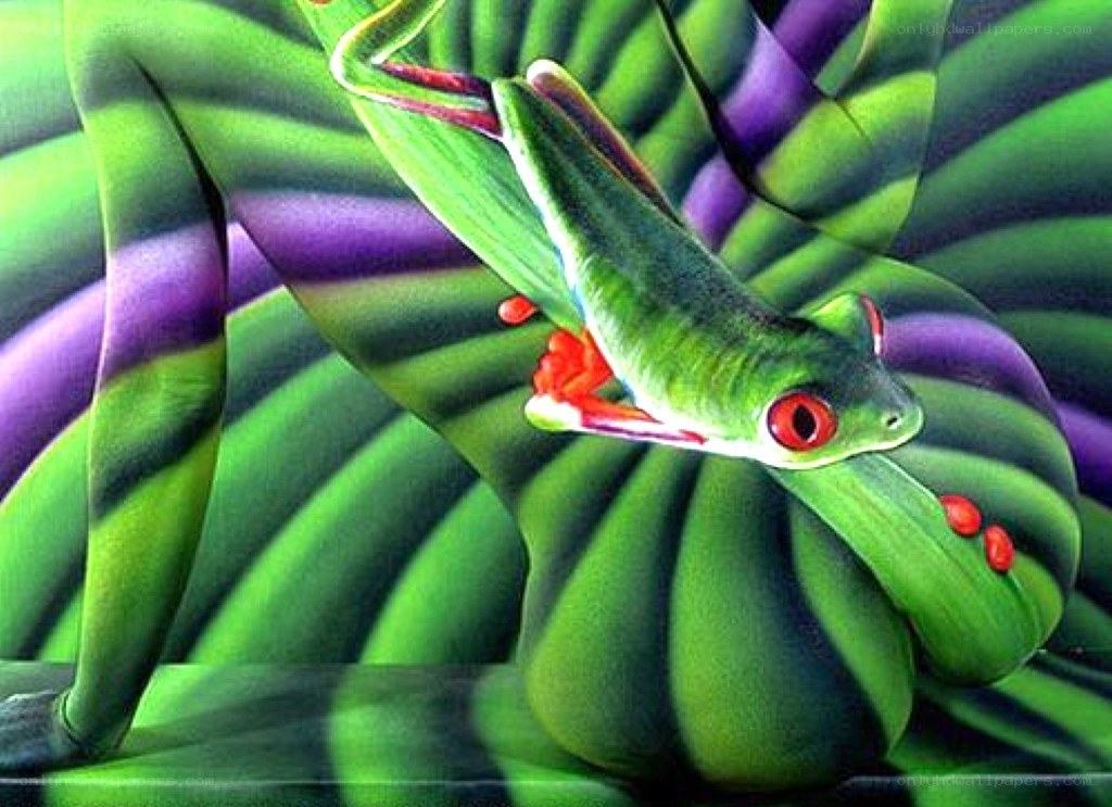 green frog on leaf artwork