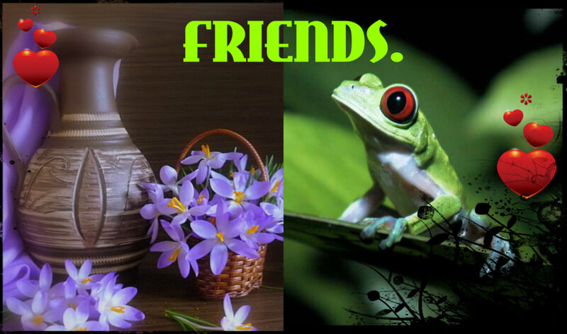 Green Frog on Leaf — Calm, Photograph, Purple Flowers