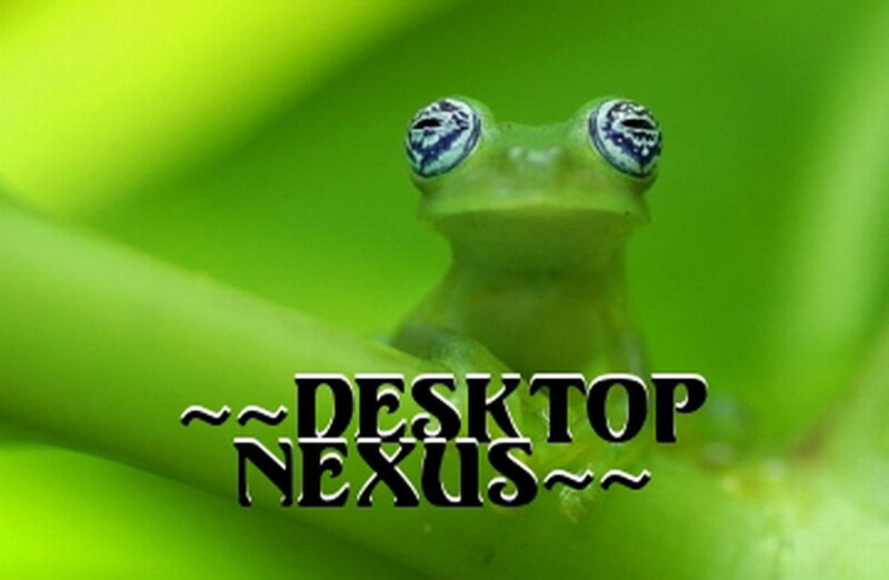 Green Frog on Leaf — Calm, Photograph