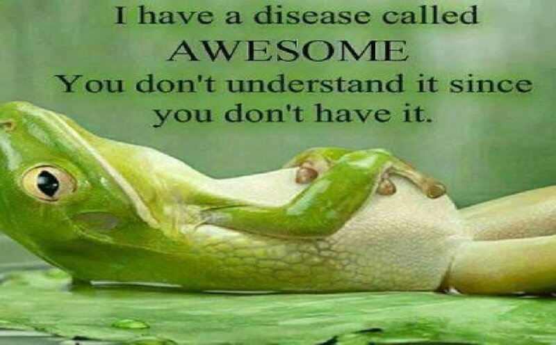 Green Frog on Leaf — Humorous