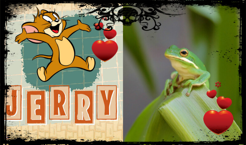 Green Frog on Leaf — Playful