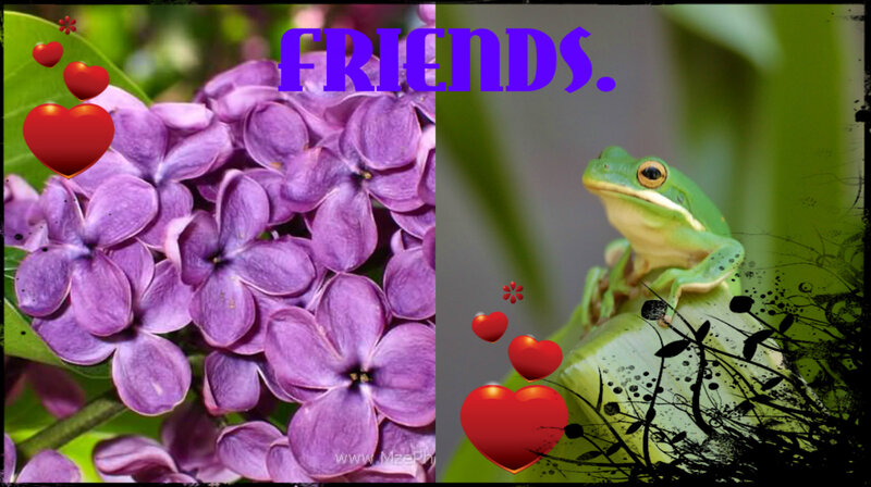 Green Frog on Leaf — Purple