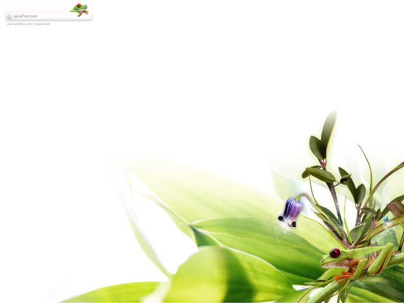 Green Frog on Leaf — Serene, Digital Art, Flower, White