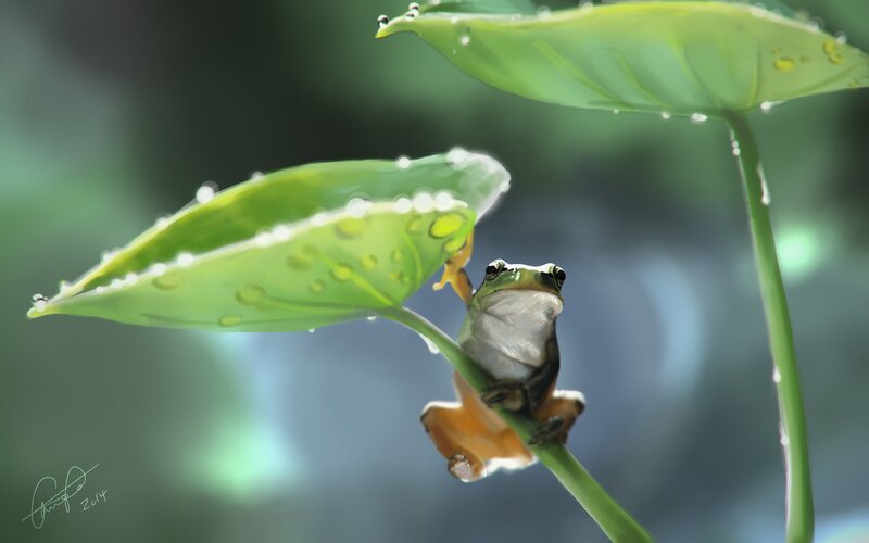 Green Frog on Leaf — Serene, Digital Art