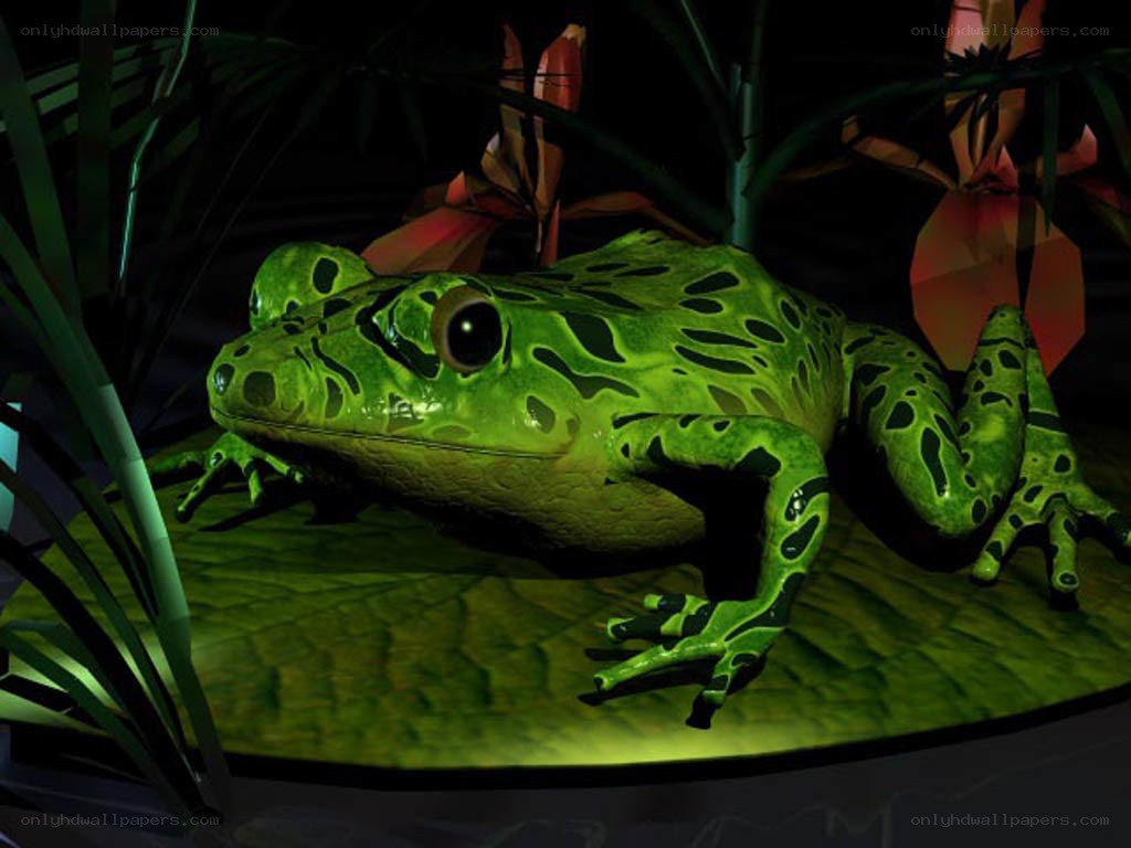 green frog on lily pad