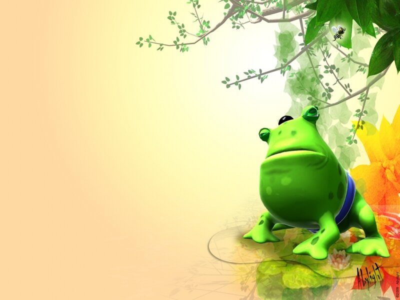 Green Frog on Lily Pad — Calm, Afternoon