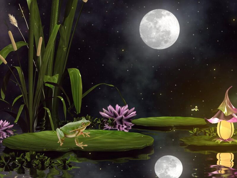 Green Frog on Lily Pad — Serene, Night, Digital Art