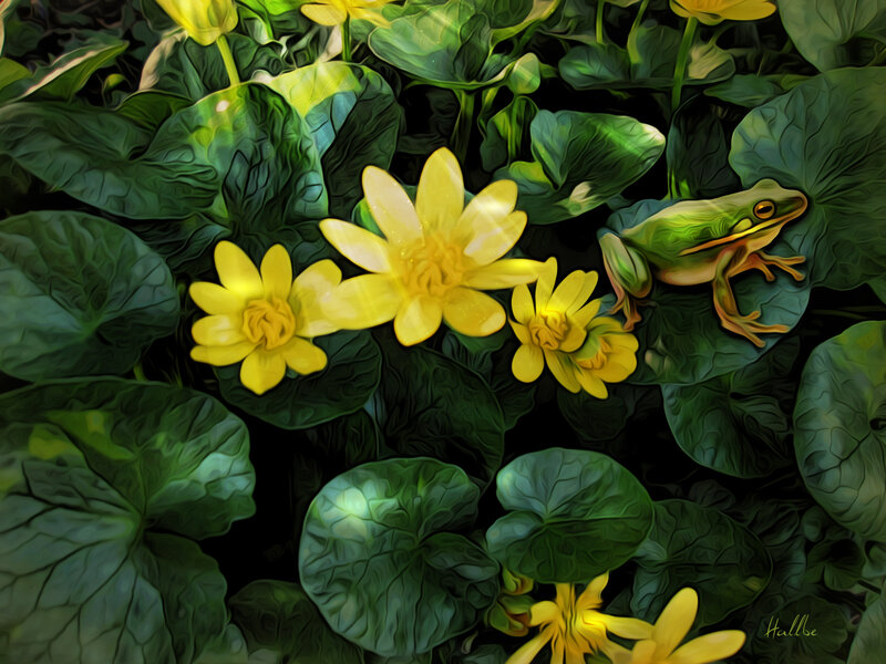 Green Frog on Lily Pads — Serene, Digital Art