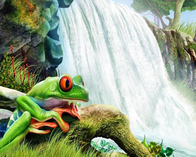 Green Frog on Log — Serene