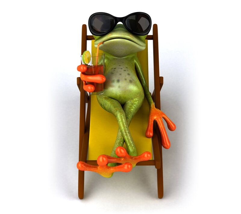 Green Frog on Lounge Chair