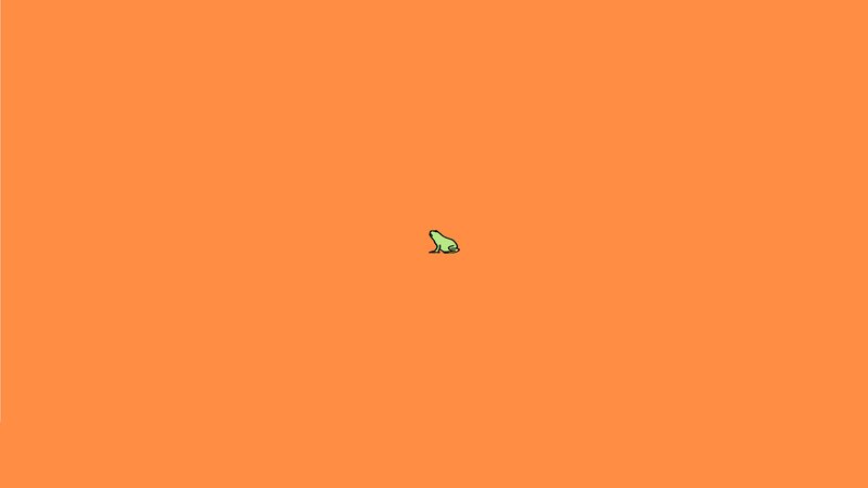 Green Frog on Orange
