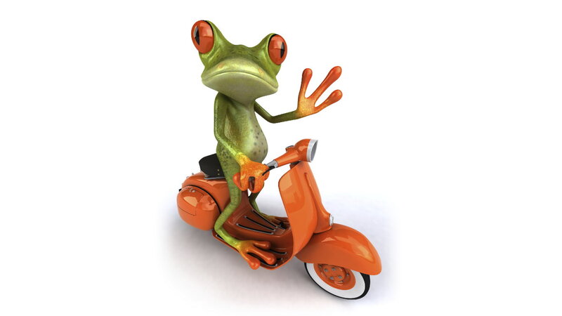 Green Frog on Scooter — Playful