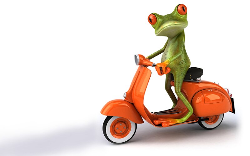 Green Frog on Scooter