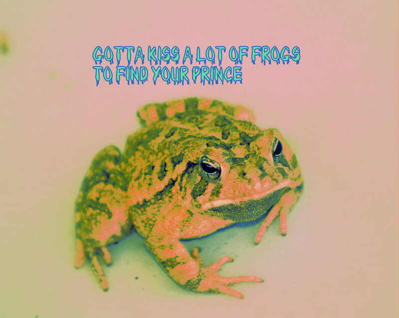Green Frog on Surface