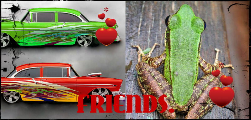 Green Frog on Wood