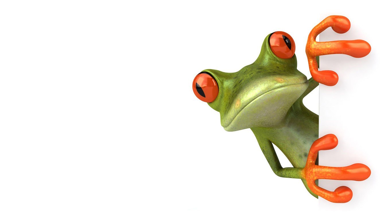 green frog peeking from behind