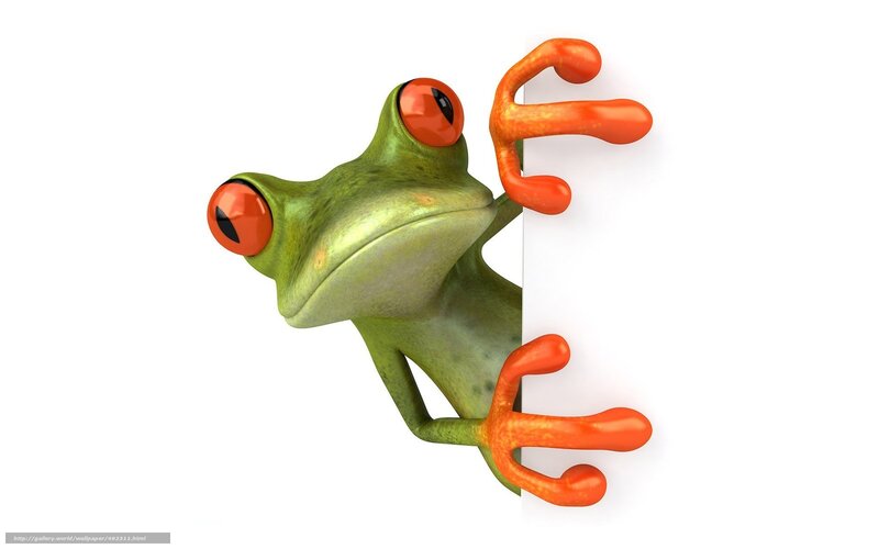 green frog peeking from behind