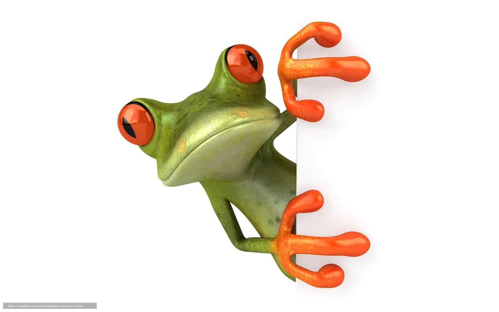 green frog peeking from behind