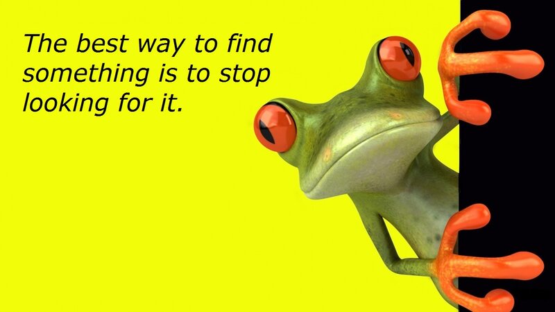 Green Frog Peeking — Yellow