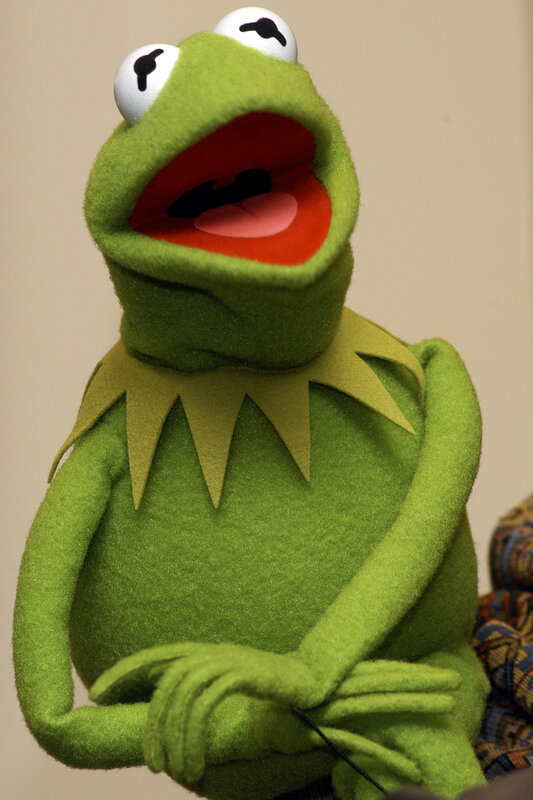 Green Frog Puppet — Neutral