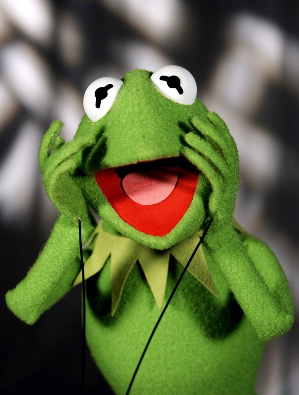Green Frog Puppet — Playful, Photograph