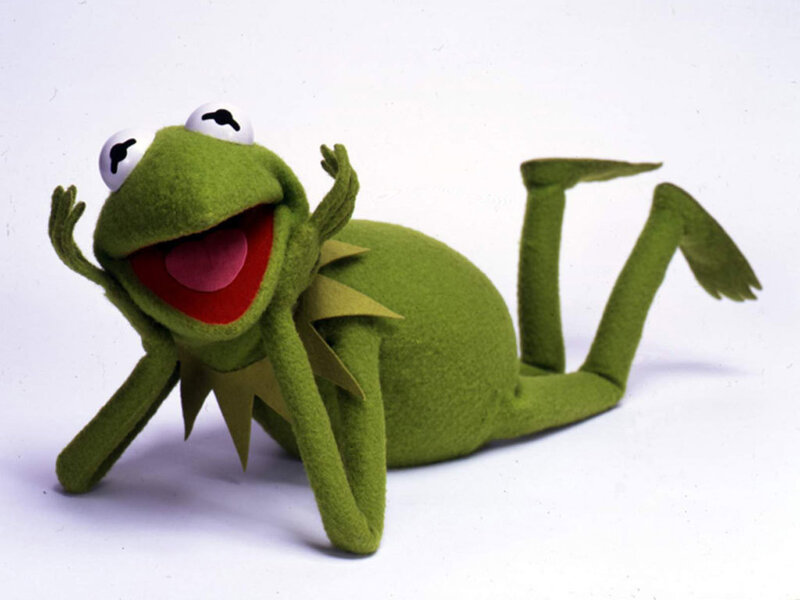 Green Frog Puppet — Playful