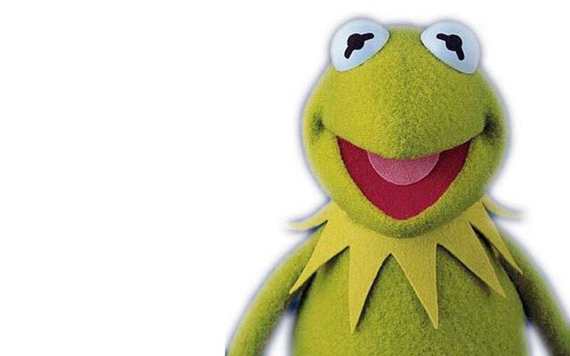 Green Frog Puppet