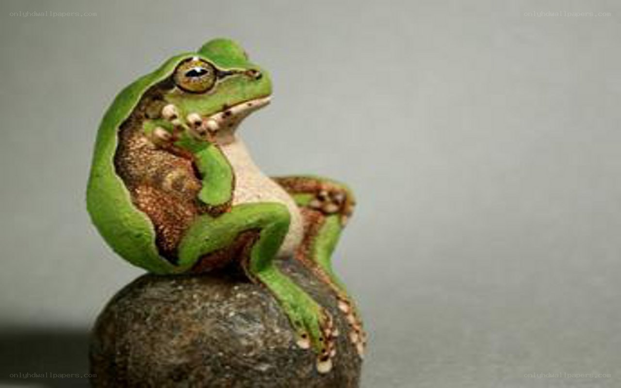 green frog sculpture on rock
