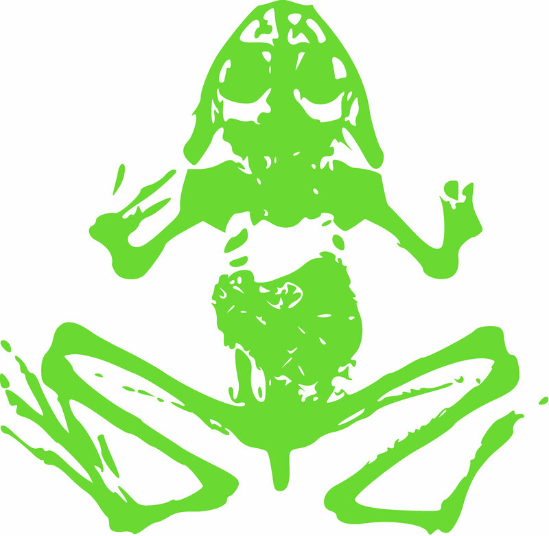 green frog skeleton illustration