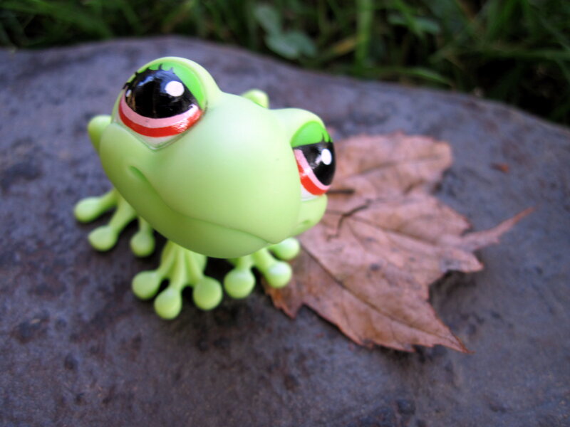 Green Frog Toy