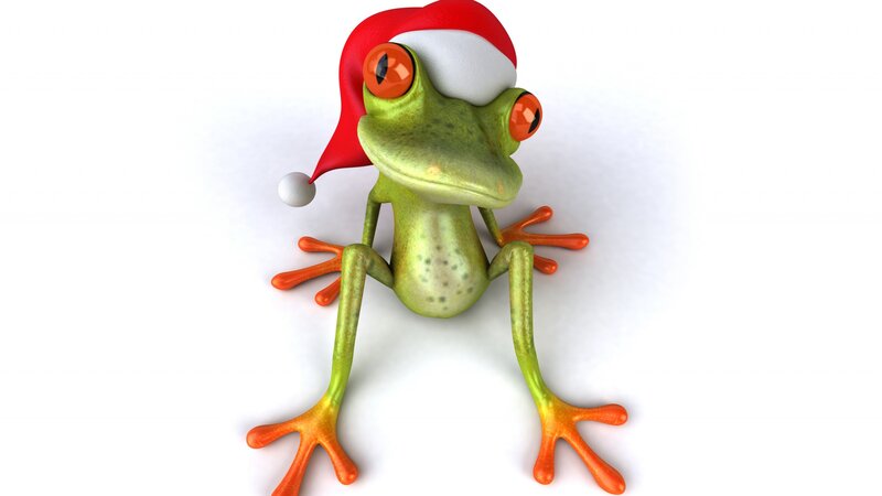 Green Frog Wearing Hat
