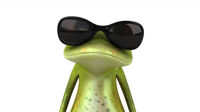 Green Frog Wearing Sunglasses — Cool