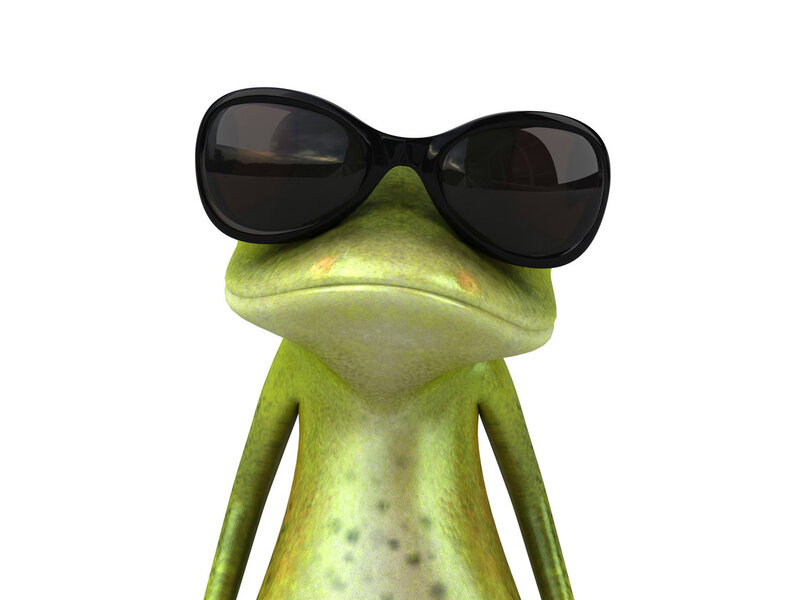 Green Frog Wearing Sunglasses