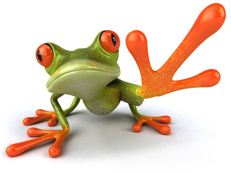 Green Frog with Orange Feet