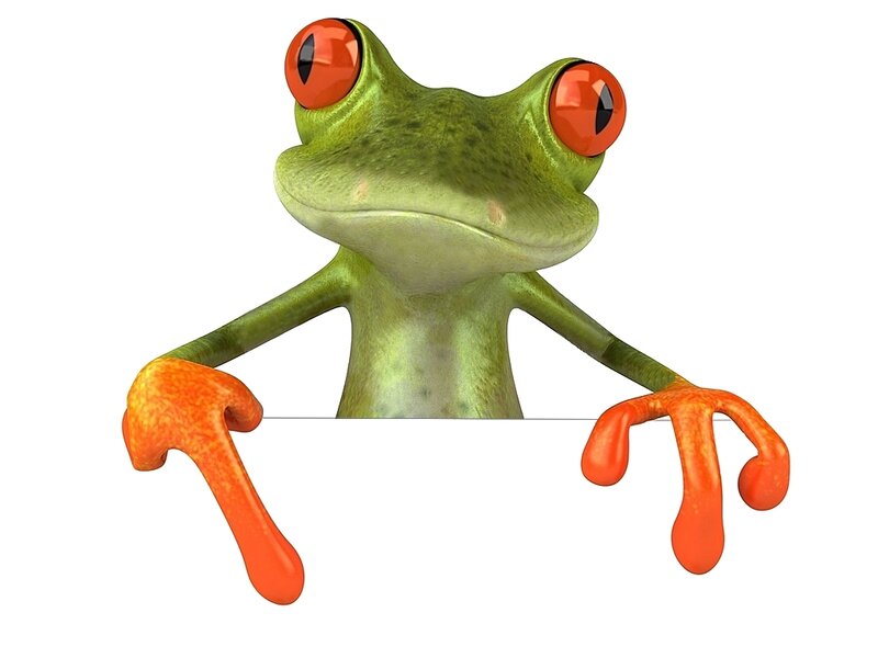 Green Frog with Red Eyes — Playful